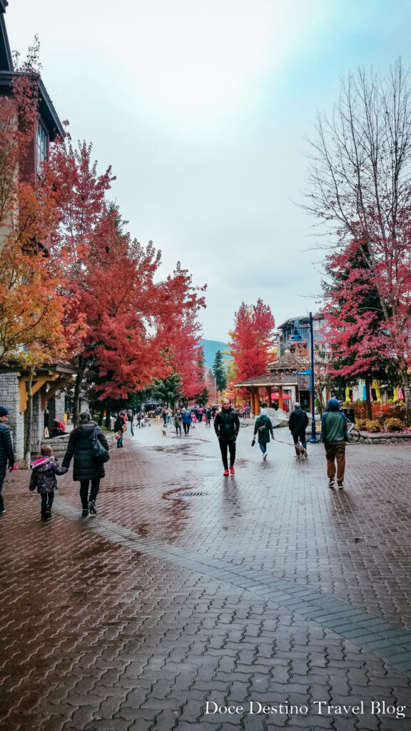 O que fazer em Whistler em 1 dia. Descubra o Encanto das Montanhas Canadenses.