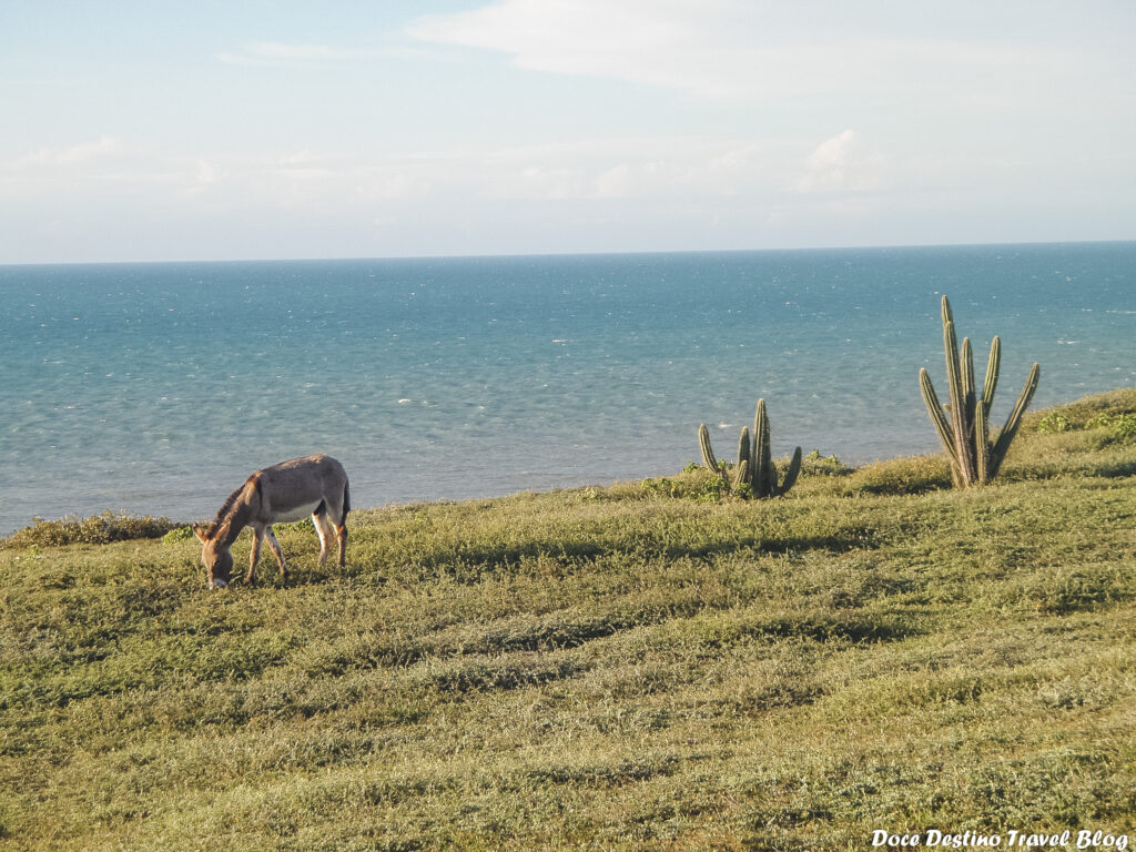 Explorando Jericoacoara em 3 Dias: Um Guia do que fazer neste paraíso no Ceará